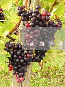 逾期还清卡销卡 逾期还清卡销卡