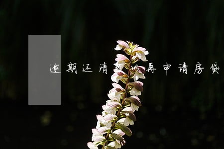 逾期还清可以再申请房贷吗 逾期还清可以再申请房贷吗