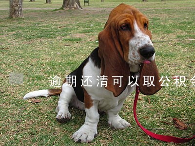 逾期还清可以取公积金吗 逾期还清可以取公积金吗