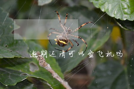 逾期还清可以坐飞机吗 逾期还清可以坐飞机吗