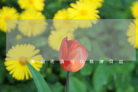 逾期还清可以抵押贷款 逾期还清可以抵押贷款
