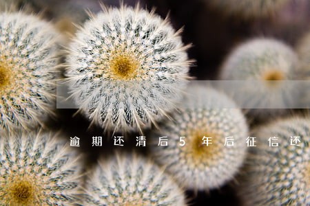 逾期还清后5年后征信还没消