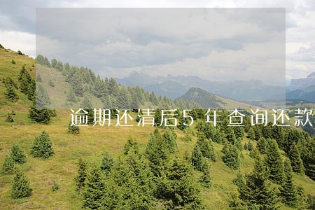 逾期还清后5年查询还款明细
