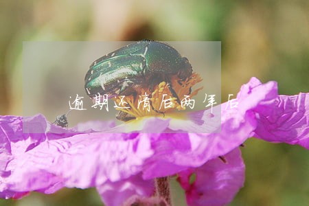 逾期还清后两年后 逾期还清后两年后