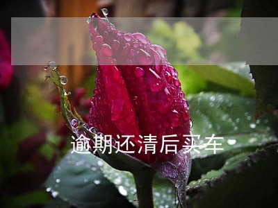 逾期还清后买车 逾期还清后买车
