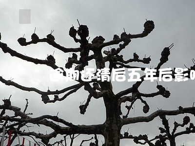 逾期还清后五年后影响房贷吗 逾期还清后五年后影响房贷吗