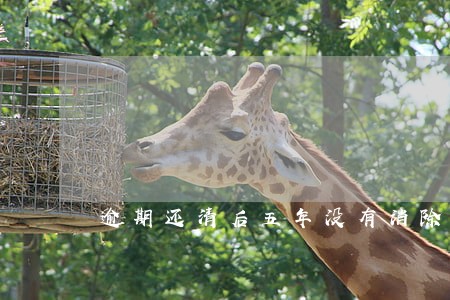 逾期还清后五年没有消除 逾期还清后五年没有消除
