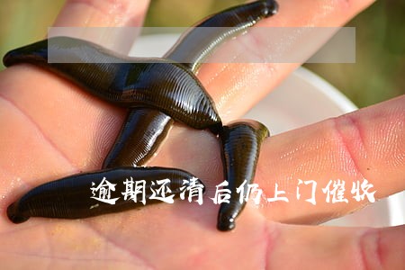 逾期还清后仍上门催收 逾期还清后仍上门催收