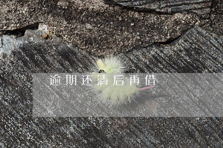 逾期还清后再借 逾期还清后再借