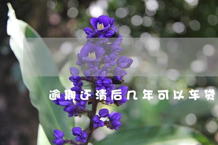 逾期还清后几年可以车贷 逾期还清后几年可以车贷