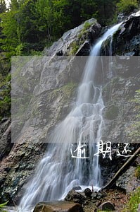逾期还清后几年能买房 逾期还清后几年能买房