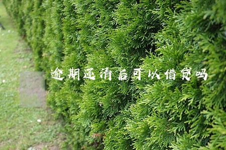 逾期还清后可以借贷吗 逾期还清后可以借贷吗