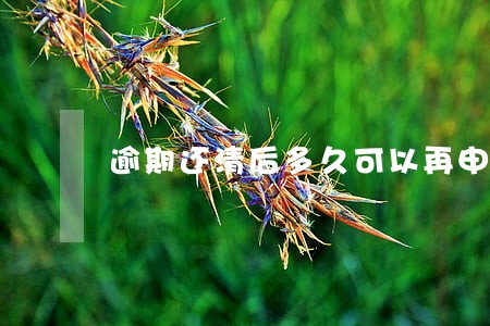逾期还清后多久可以再申请房贷 逾期还清后多久可以再申请房贷