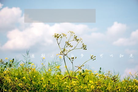 逾期还清后多久可以和老公买房 逾期还清后多久可以和老公买房