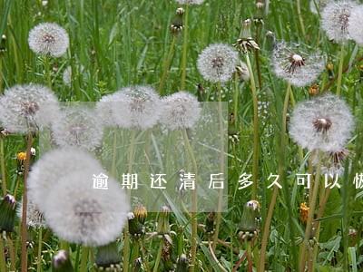 逾期还清后多久可以恢复征信 逾期还清后多久可以恢复征信