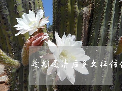 逾期还清后多久征信会恢复 逾期还清后多久征信会恢复
