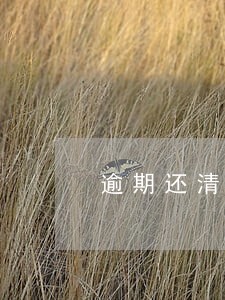 逾期还清后多久放款