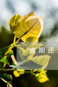 逾期还清后多久能买房 逾期还清后多久能买房
