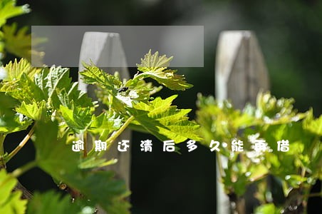 逾期还清后多久能再借 逾期还清后多久能再借