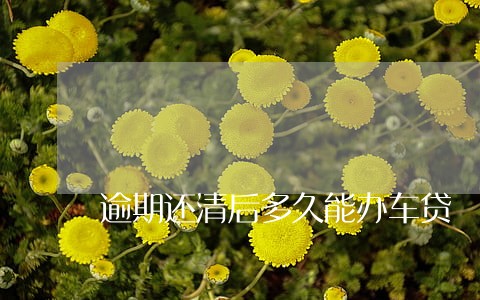 逾期还清后多久能办车贷
