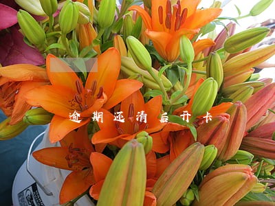 逾期还清后开卡 逾期还清后开卡