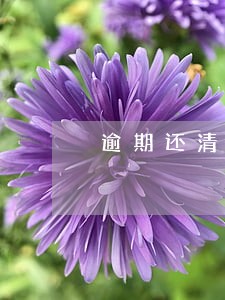 逾期还清后影响房贷吗 逾期还清后影响房贷吗