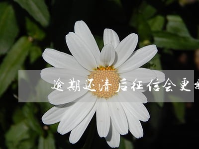 逾期还清后征信会更新吗 逾期还清后征信会更新吗