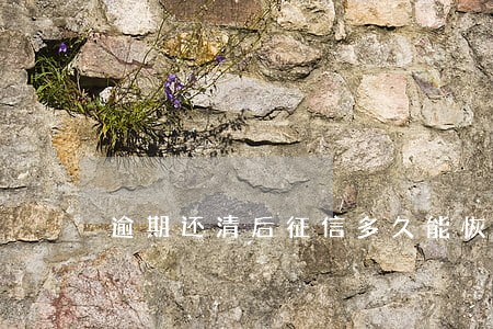 逾期还清后征信多久能恢复 逾期还清后征信多久能恢复