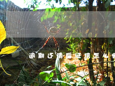逾期还清后征信怎么恢复 逾期还清后征信怎么恢复