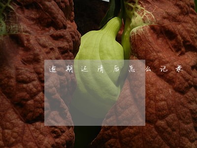 逾期还清后怎么记录