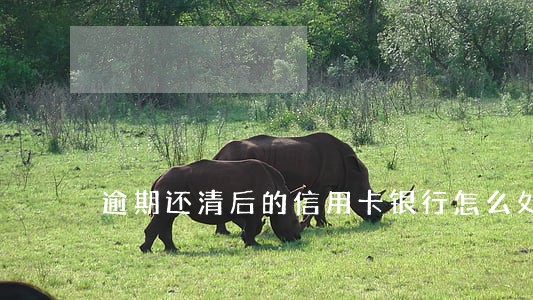 逾期还清后的信用卡银行怎么处理 逾期还清后的信用卡银行怎么处理