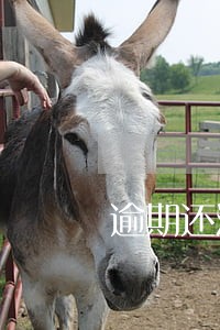 逾期还清后能贷款吗 逾期还清后能贷款吗