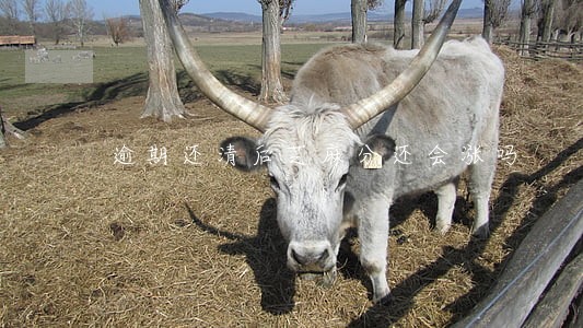 逾期还清后芝麻分还会涨吗 逾期还清后芝麻分还会涨吗