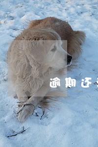 逾期还清后车贷能消除记录吗