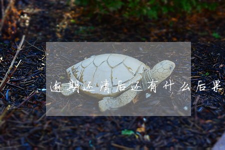 逾期还清后还有什么后果 逾期还清后还有什么后果