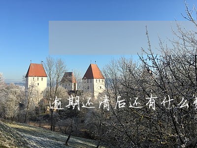 逾期还清后还有什么费用吗 逾期还清后还有什么费用吗