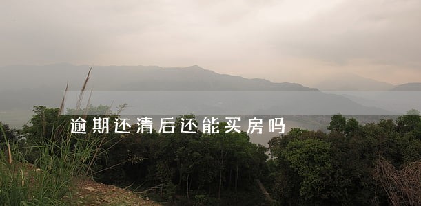 逾期还清后还能买房吗 逾期还清后还能买房吗