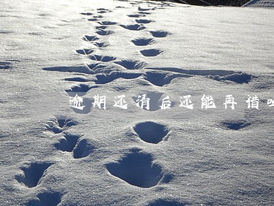 逾期还清后还能再借吗 逾期还清后还能再借吗