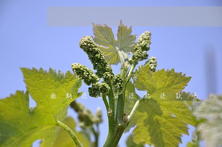 逾期还清后还能还款吗 逾期还清后还能还款吗