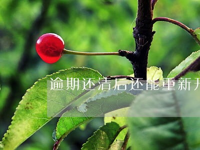 逾期还清后还能重新开卡吗 逾期还清后还能重新开卡吗
