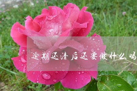 逾期还清后还要做什么吗 逾期还清后还要做什么吗