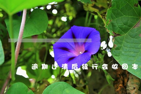 逾期还清后银行会收回本金吗 逾期还清后银行会收回本金吗