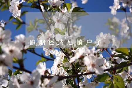 逾期还清后销户了 逾期还清后销户了