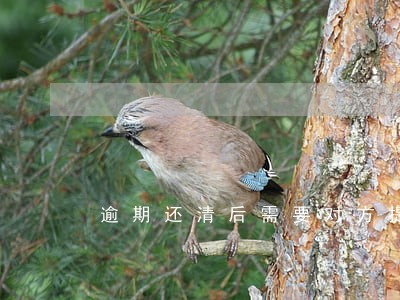 逾期还清后需要对方提供合同吗 逾期还清后需要对方提供合同吗