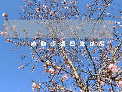 逾期还清四年以后 逾期还清四年以后