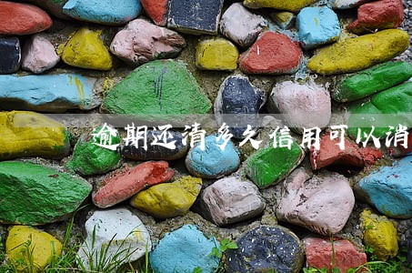 逾期还清多久信用可以消 逾期还清多久信用可以消