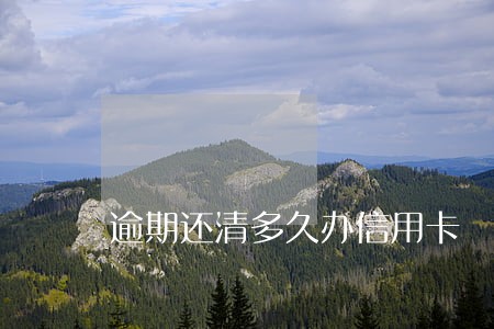 逾期还清多久办信用卡 逾期还清多久办信用卡