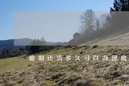 逾期还清多久可以办理房贷 逾期还清多久可以办理房贷