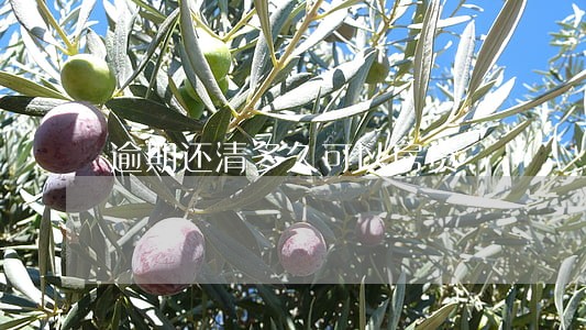 逾期还清多久可以房贷 逾期还清多久可以房贷