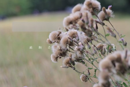 逾期还清多久可以结案 逾期还清多久可以结案